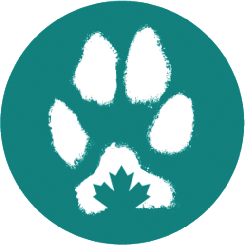 canadian-veterinary-hospital-management-paw-round